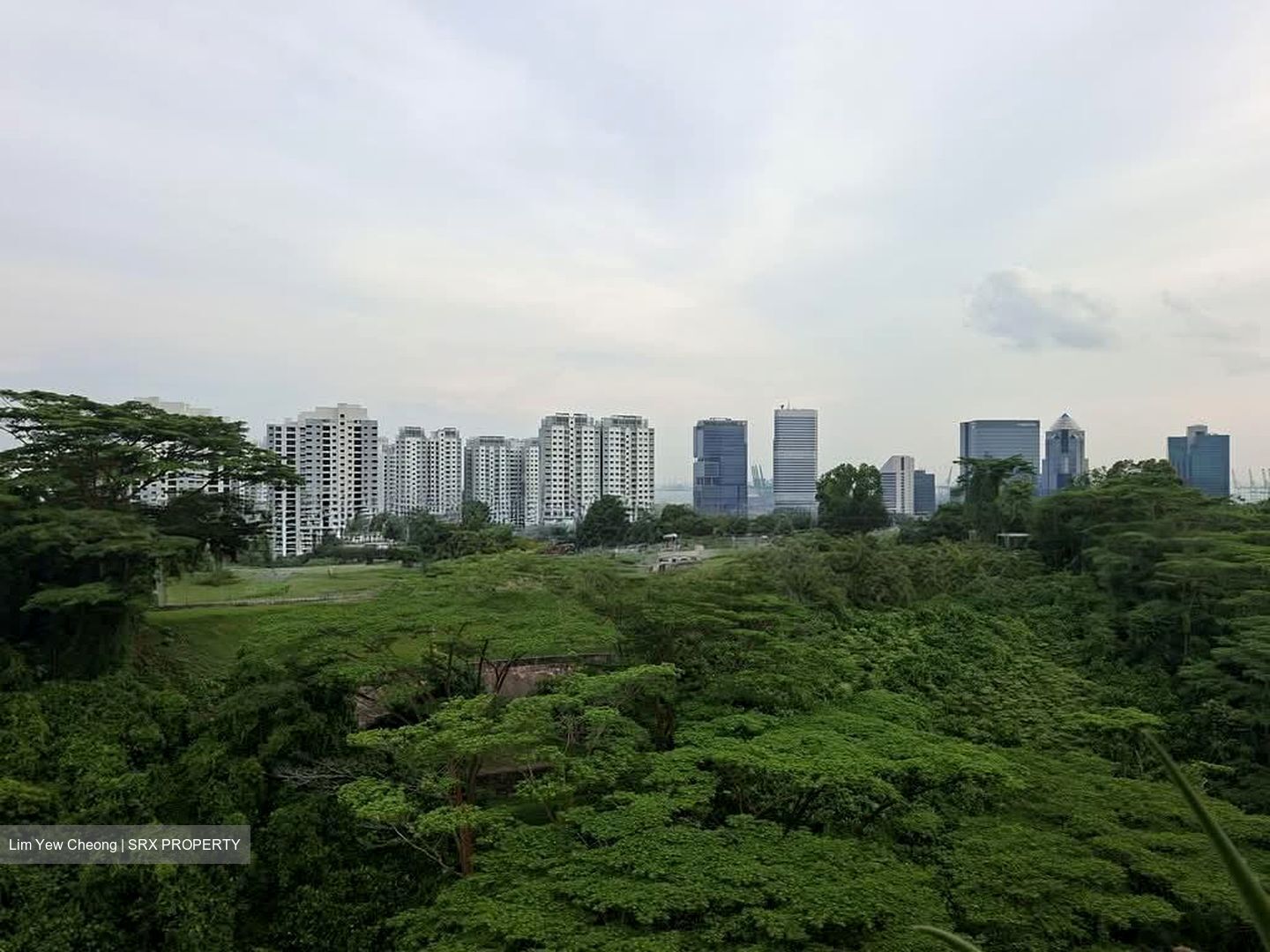 Blk 109A Depot Heights (Bukit Merah), HDB 4 Rooms #588537021